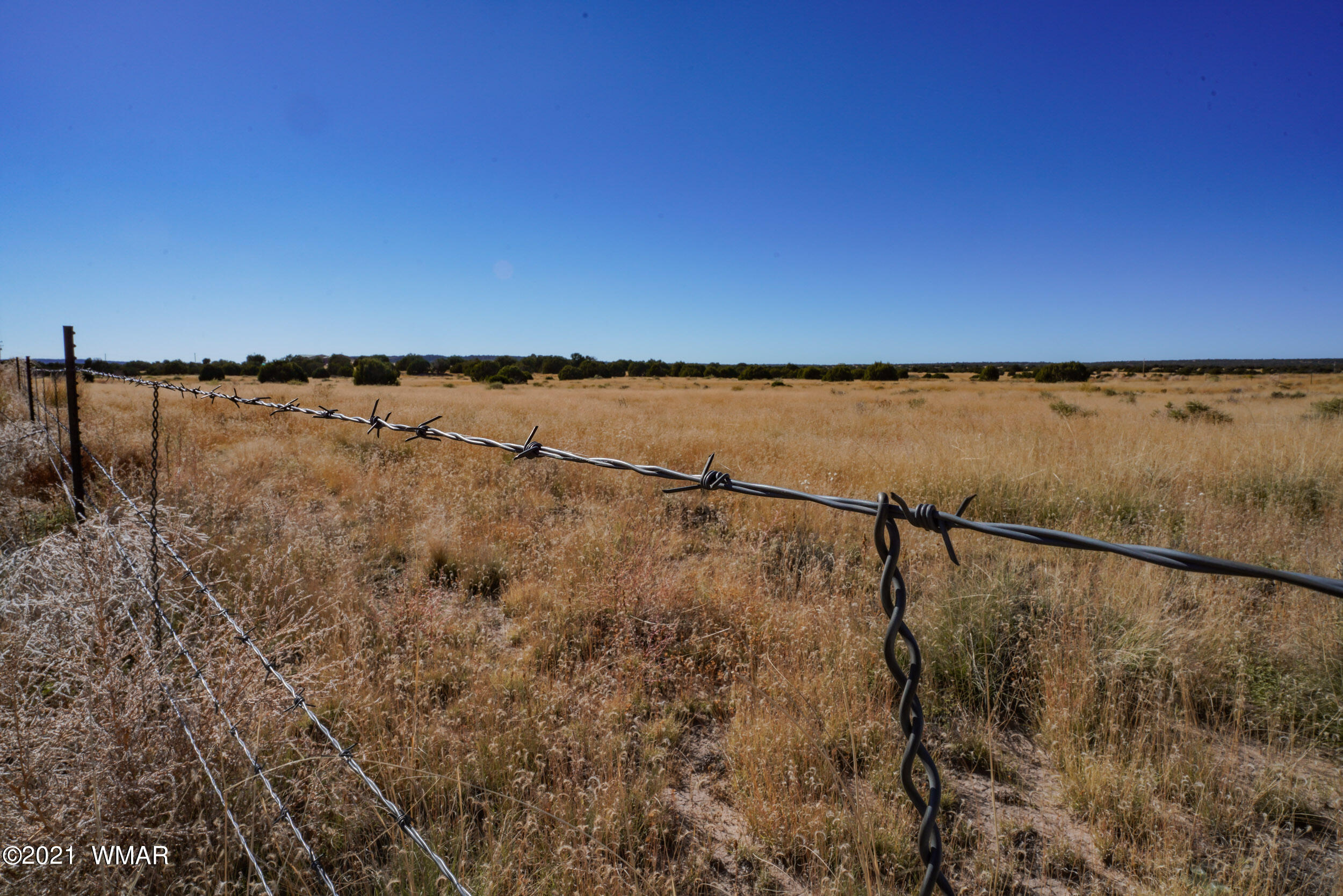 3 County Road Concho, AZ 85924 - Photo 49 of 66