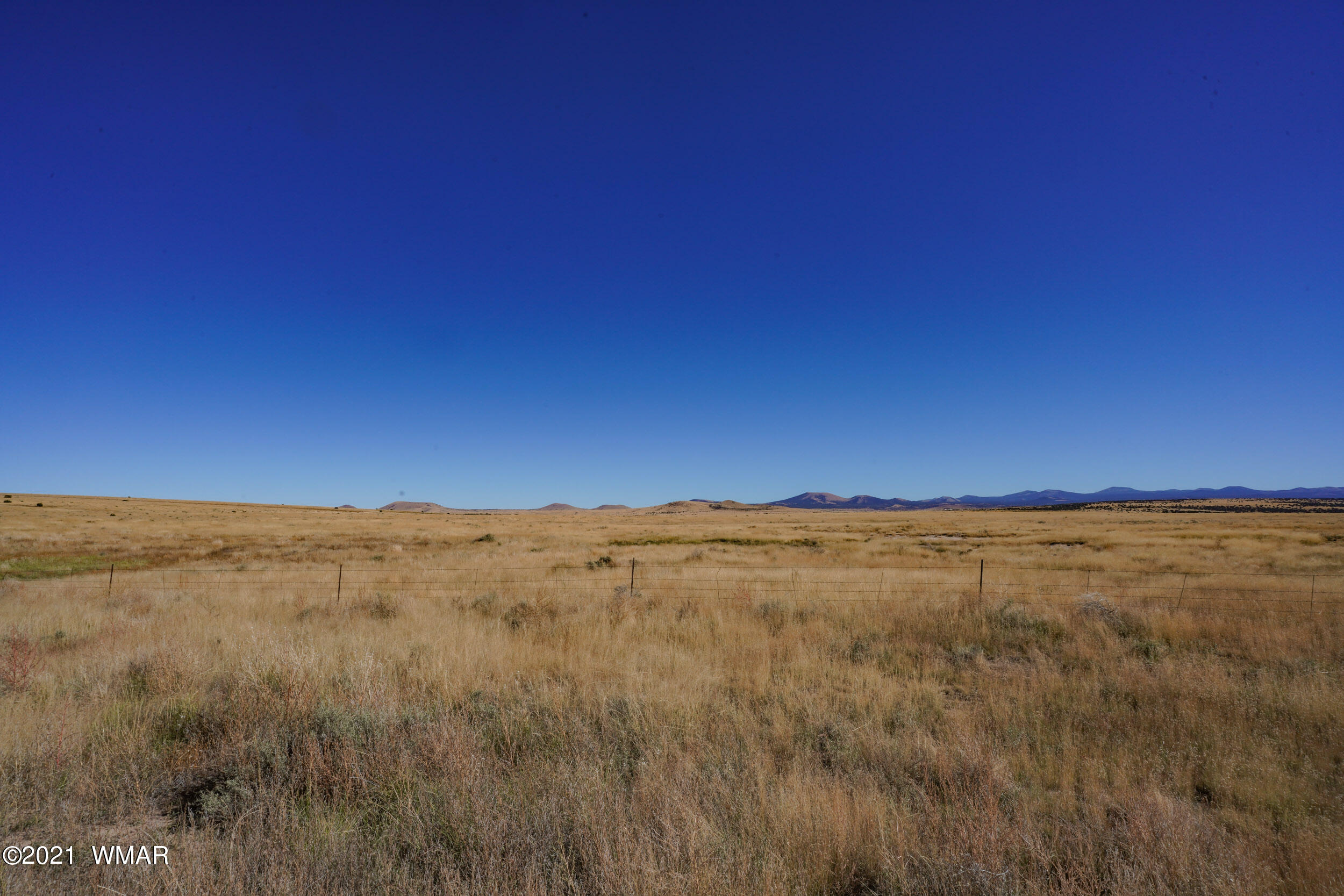 3 County Road Concho, AZ 85924 - Photo 50 of 66