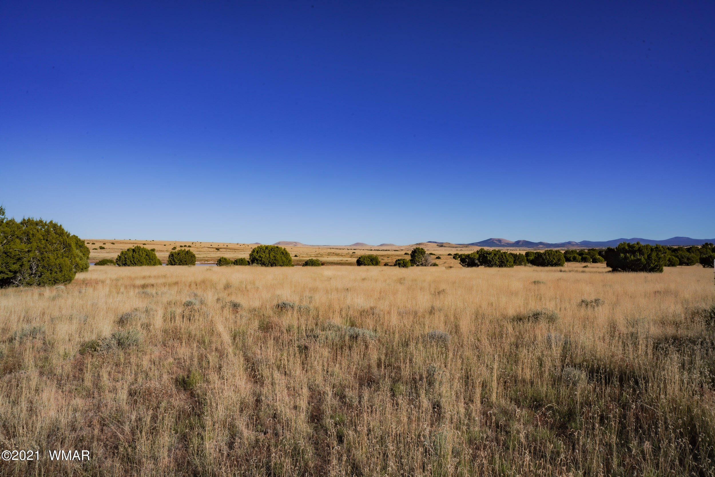 3 County Road Concho, AZ 85924 - Photo 5 of 66