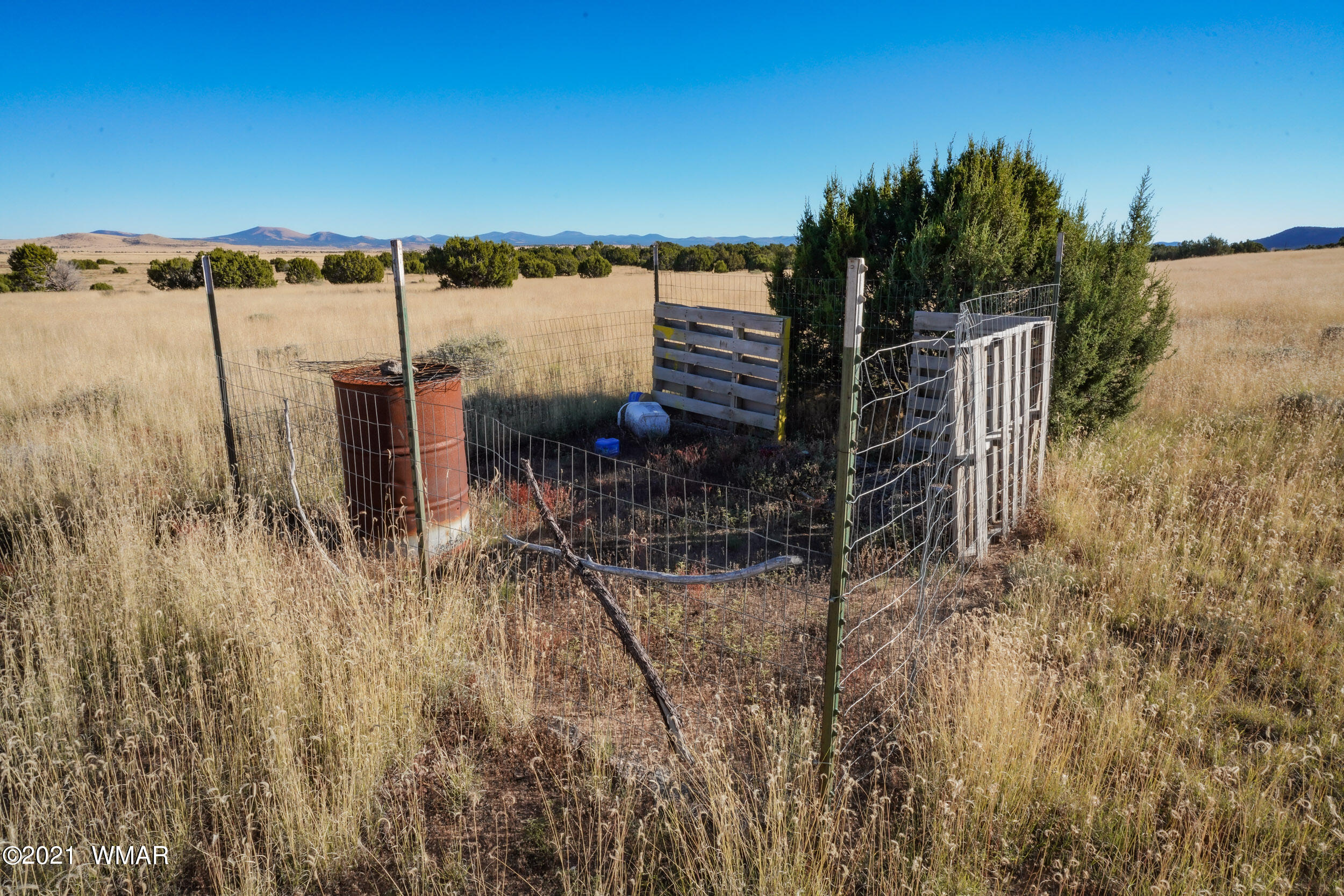3 County Road Concho, AZ 85924 - Photo 6 of 66