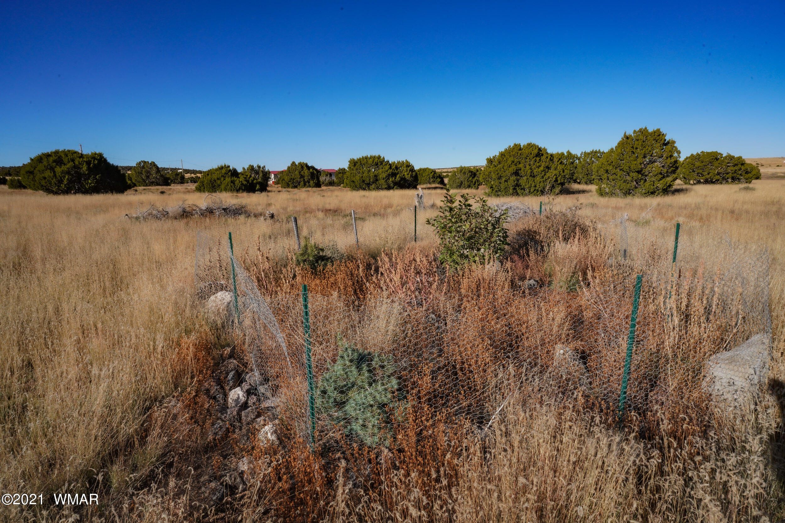 3 County Road Concho, AZ 85924 - Photo 7 of 66