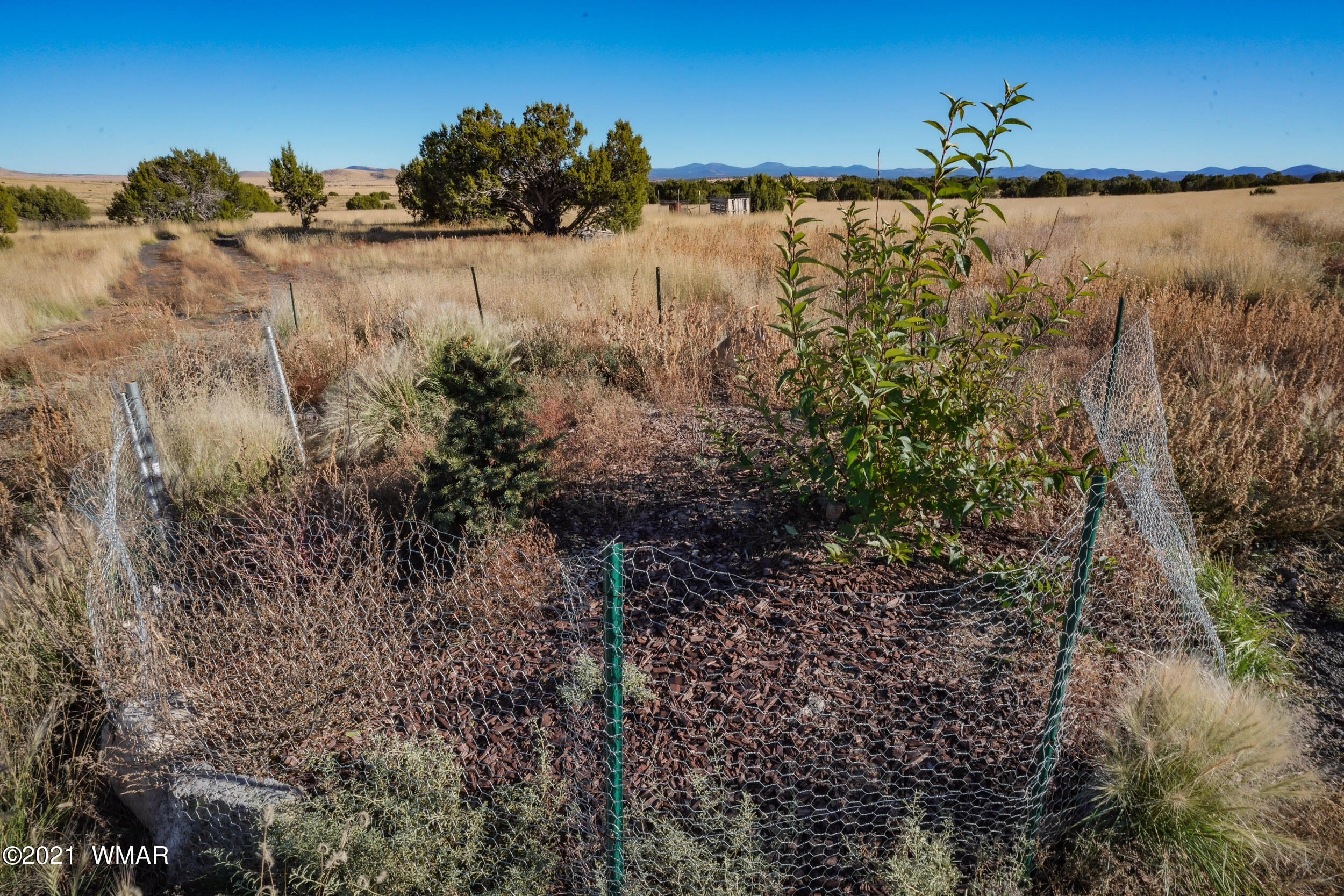 3 County Road Concho, AZ 85924 - Photo 8 of 66
