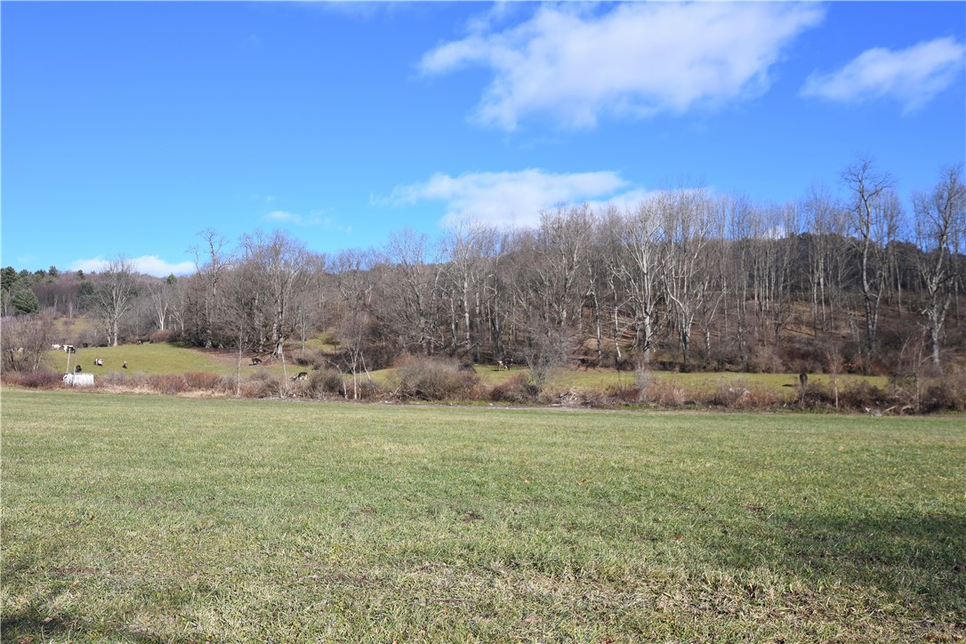 158 Dingman Hill Road Bainbridge, NY 13733 - Photo 29 of 45 Backyard view