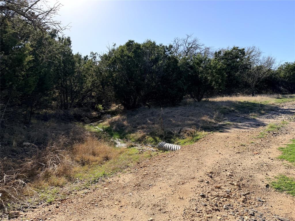 360 State Highway South Goldthwaite, TX 76844 - Photo 11 of 40 a view of a yard with trees in the background