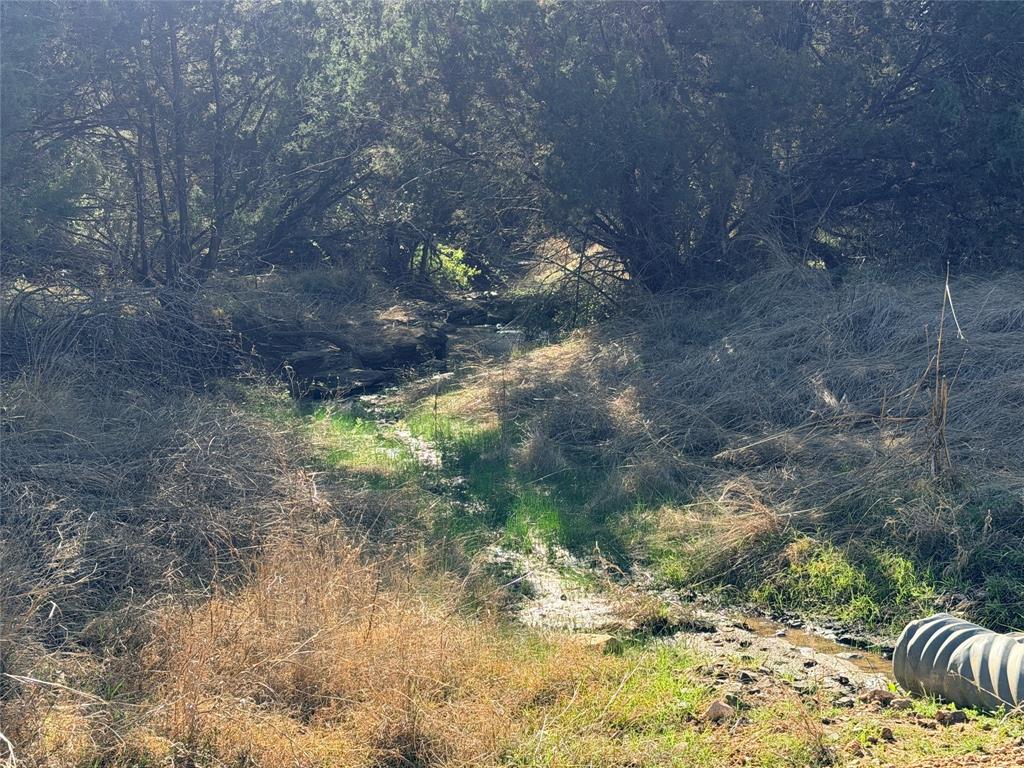360 State Highway South Goldthwaite, TX 76844 - Photo 12 of 40 a view of a yard with a tree