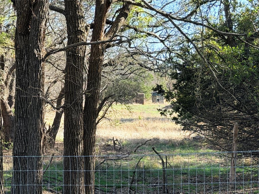360 State Highway South Goldthwaite, TX 76844 - Photo 20 of 40 a view of a yard with a tree
