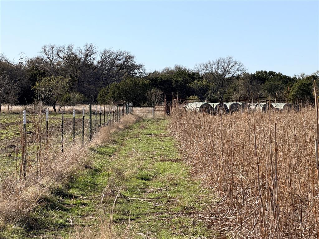 360 State Highway South Goldthwaite, TX 76844 - Photo 26 of 40 a view of swimming pool with a yard and trees