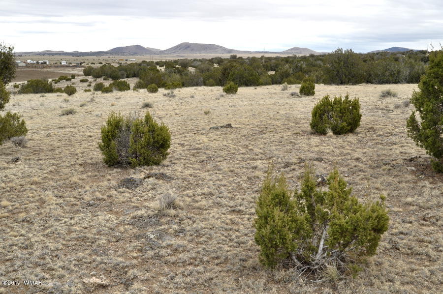 Lot 30-def Lot 30-def Lake View Ranch Concho, AZ 85924 - Photo 11 of 12