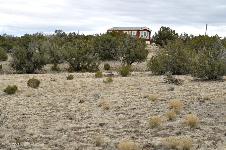 Lot 30-def Lot 30-def Lake View Ranch Concho, AZ 85924 - Photo 12 of 12