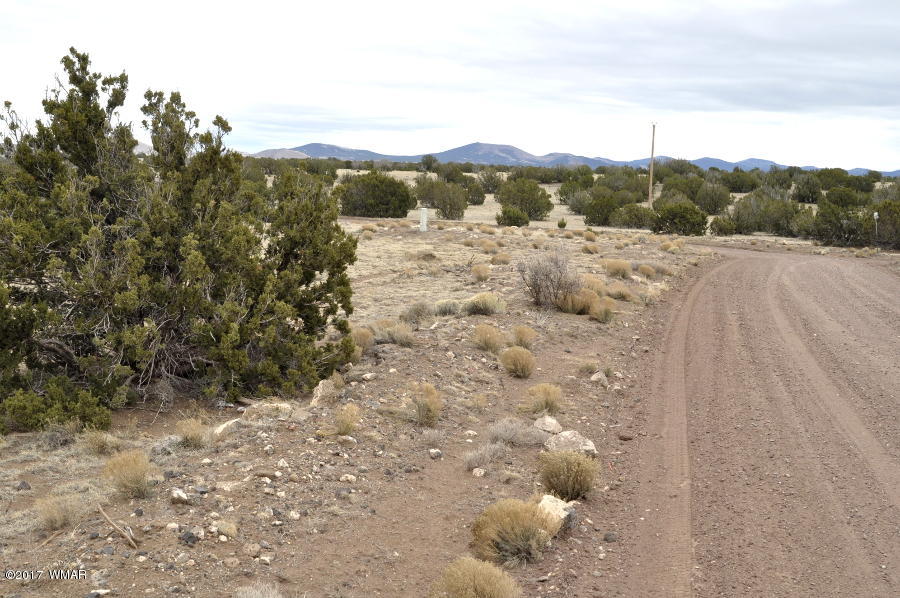 Lot 30-def Lot 30-def Lake View Ranch Concho, AZ 85924 - Photo 2 of 12
