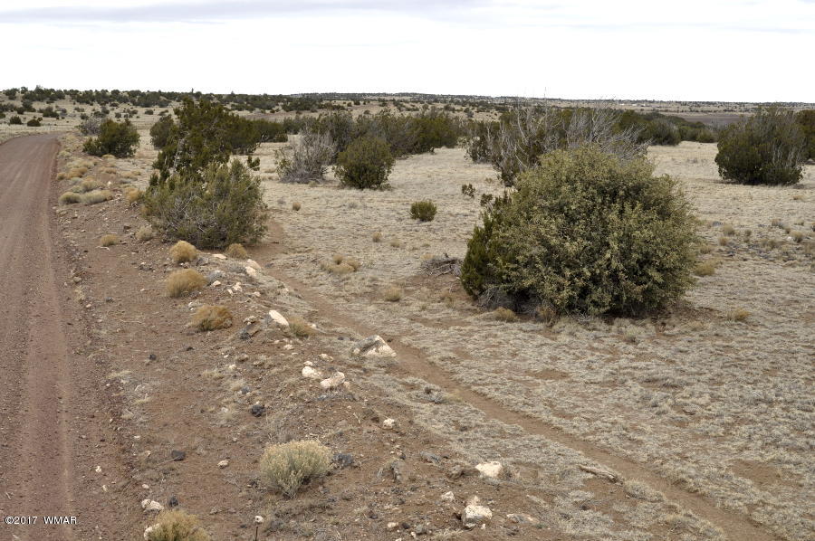 Lot 30-def Lot 30-def Lake View Ranch Concho, AZ 85924 - Photo 3 of 12
