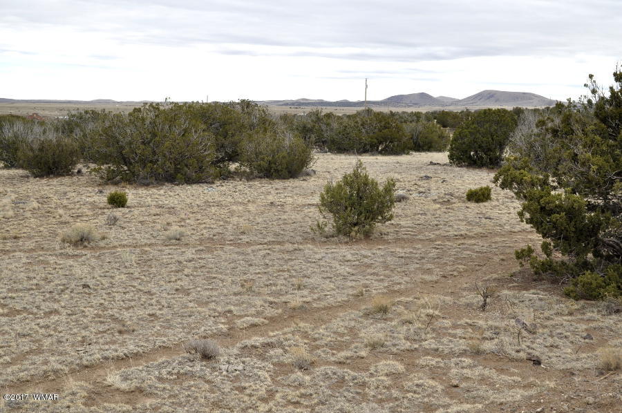 Lot 30-def Lot 30-def Lake View Ranch Concho, AZ 85924 - Photo 4 of 12