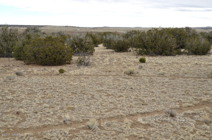Lot 30-def Lot 30-def Lake View Ranch Concho, AZ 85924 - Photo 5 of 12