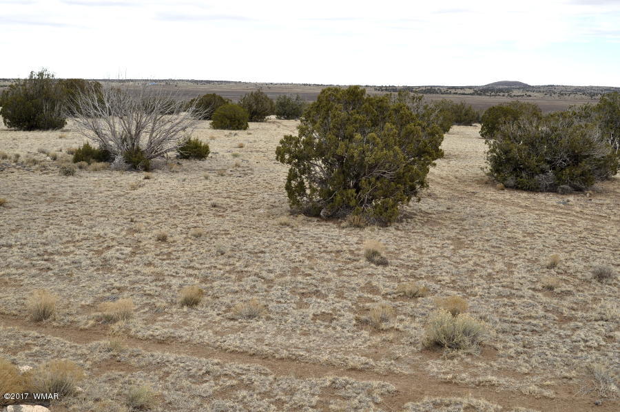 Lot 30-def Lot 30-def Lake View Ranch Concho, AZ 85924 - Photo 6 of 12