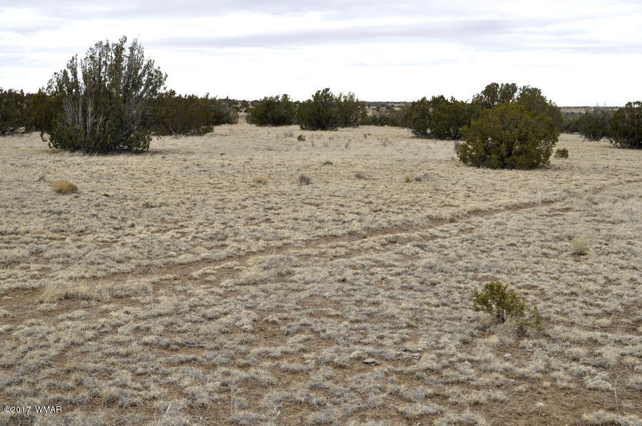 Lot 30-def Lot 30-def Lake View Ranch Concho, AZ 85924 - Photo 7 of 12