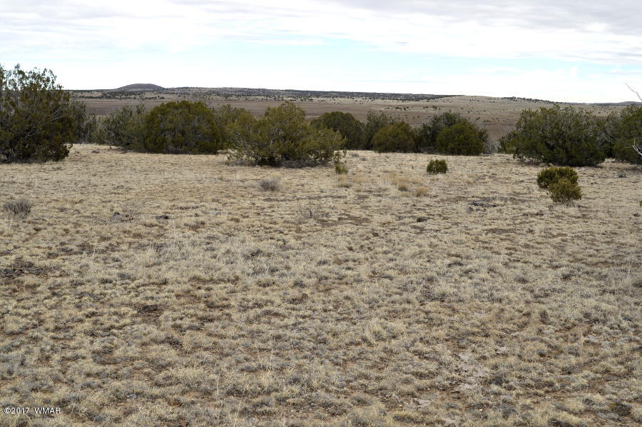 Lot 30-def Lot 30-def Lake View Ranch Concho, AZ 85924 - Photo 8 of 12