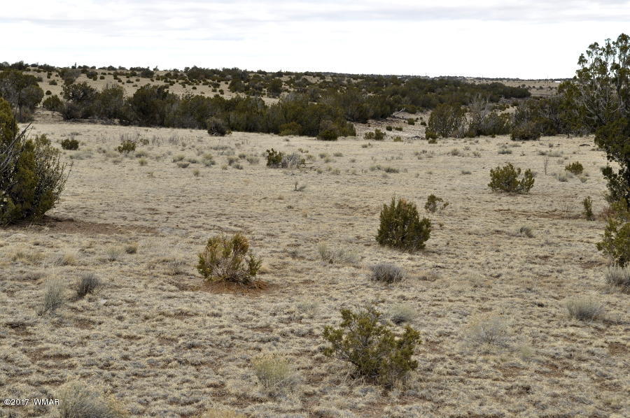 Lot 30-def Lot 30-def Lake View Ranch Concho, AZ 85924 - Photo 10 of 12