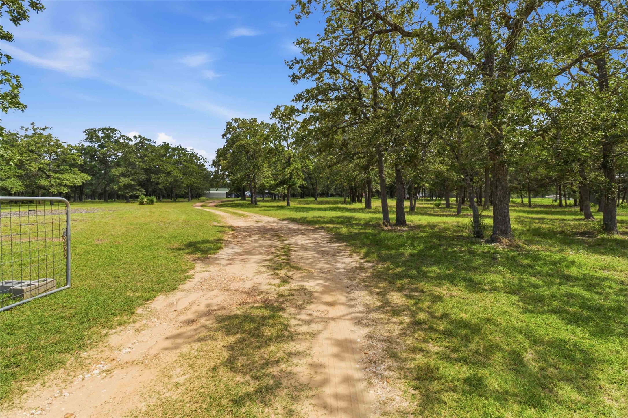 7921 Vista Ranch Road Smithville, TX 78957 - Photo 34 of 39 A private, gated dirt road winds through mature trees to a secluded property.