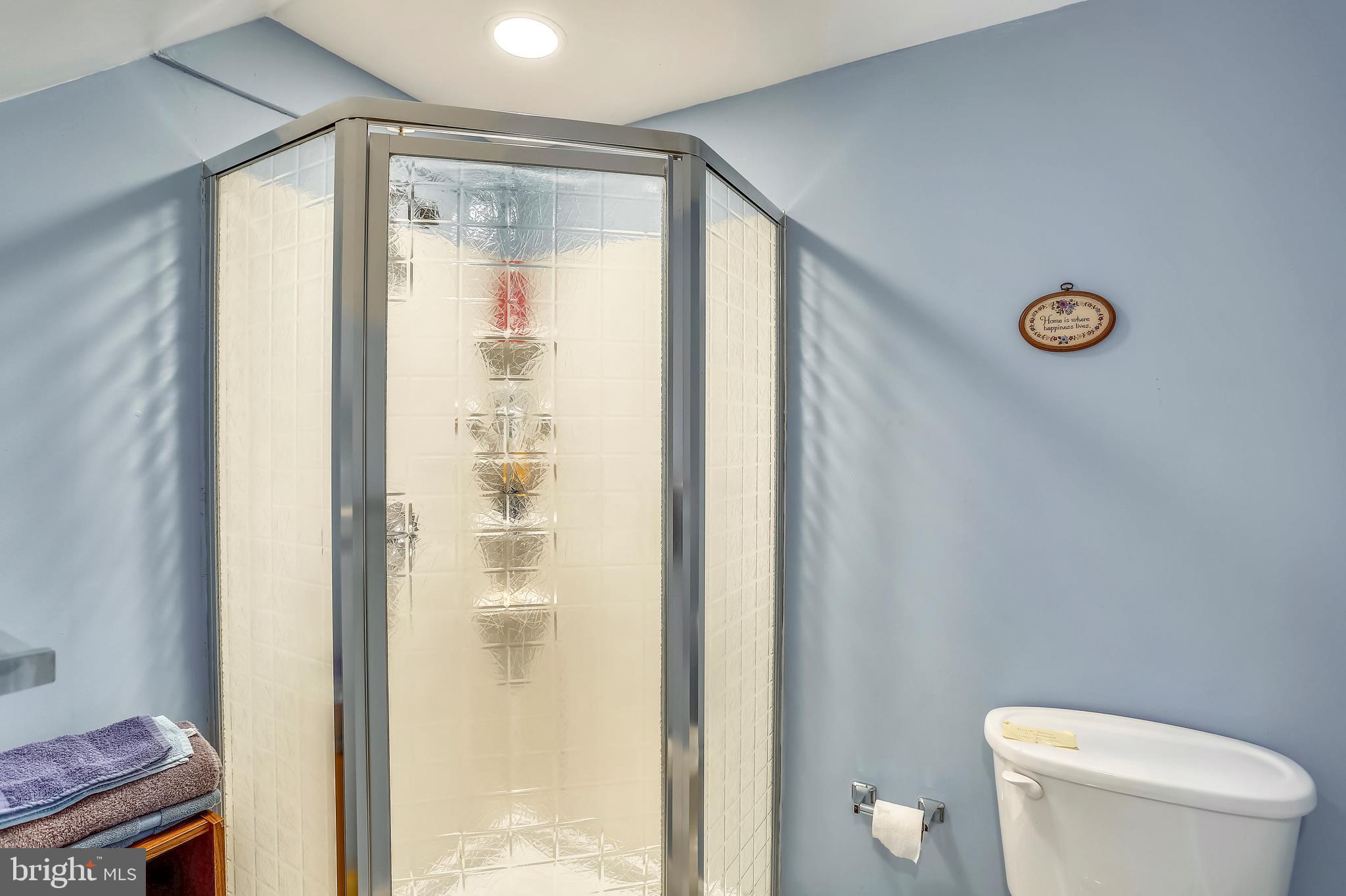 15312 Durant Street Silver Spring, MD 20905 - Photo 37 of 43 Lower Level Bathroom