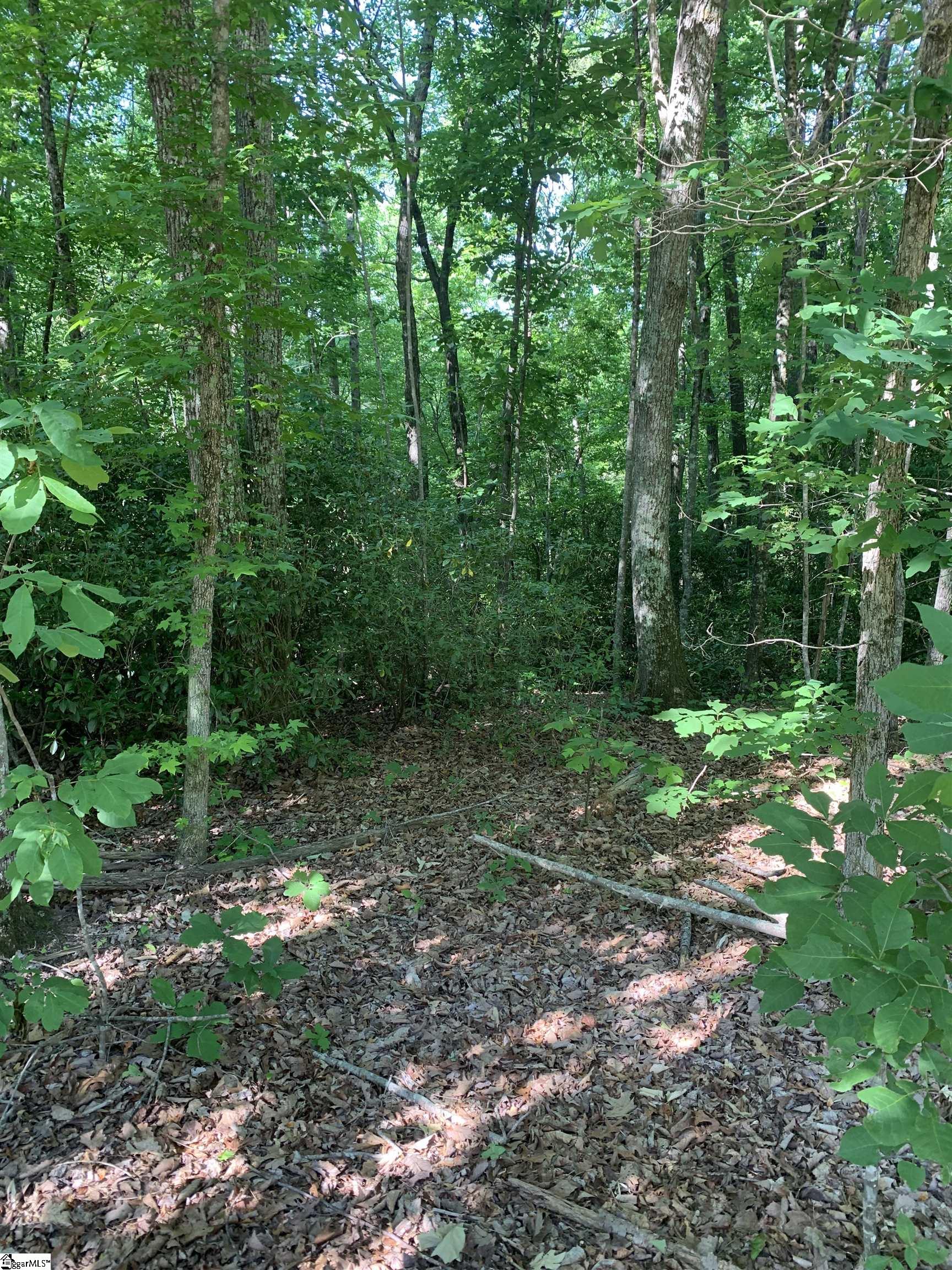 1335 Chinquapin Road Unit Lot 3
