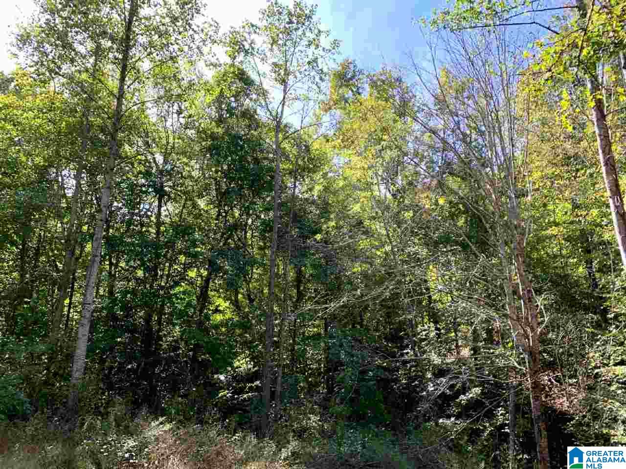 417 Old Town Road Ashland, AL 36251 - Photo 16 of 18