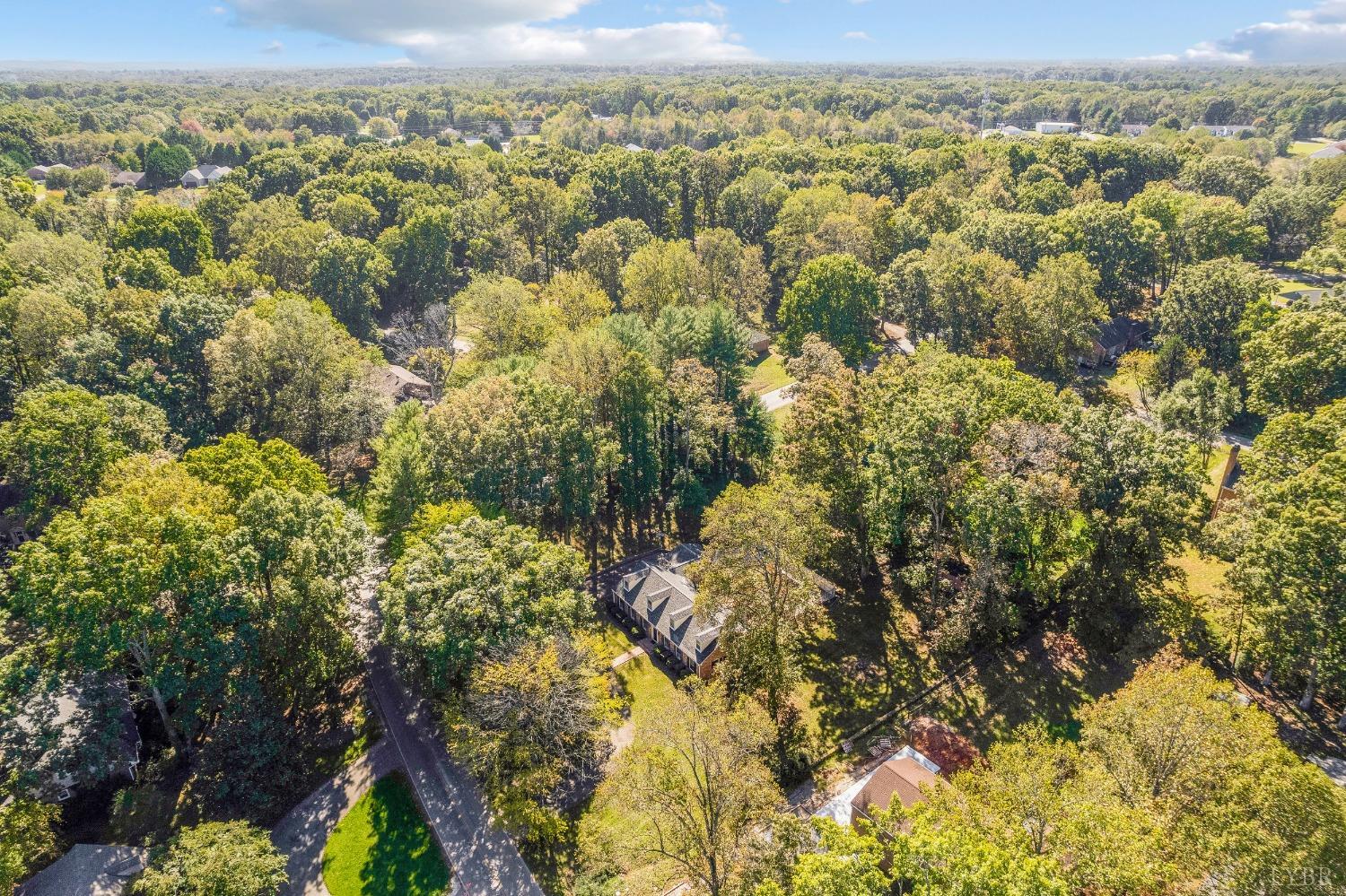 101 Foxhall Drive Forest, VA 24551 - Photo 12 of 54 a view of a city with lush green forest