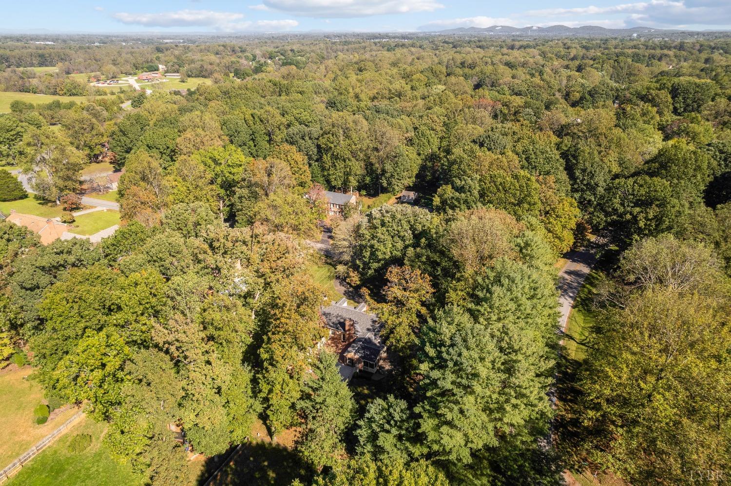 101 Foxhall Drive Forest, VA 24551 - Photo 13 of 54 a view of a yard with an outdoor space