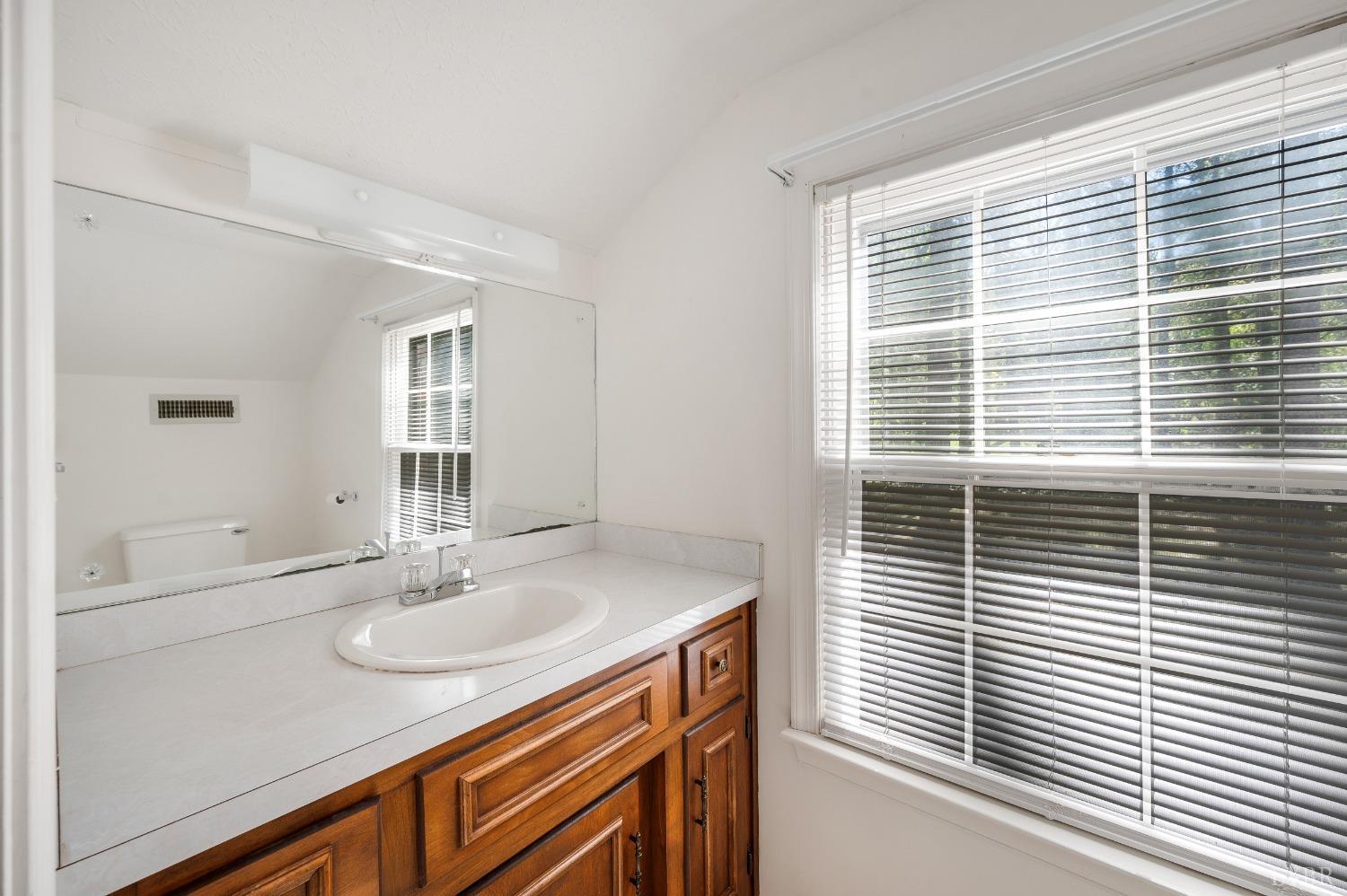 101 Foxhall Drive Forest, VA 24551 - Photo 44 of 54 a bathroom with a sink a vanity and a mirror