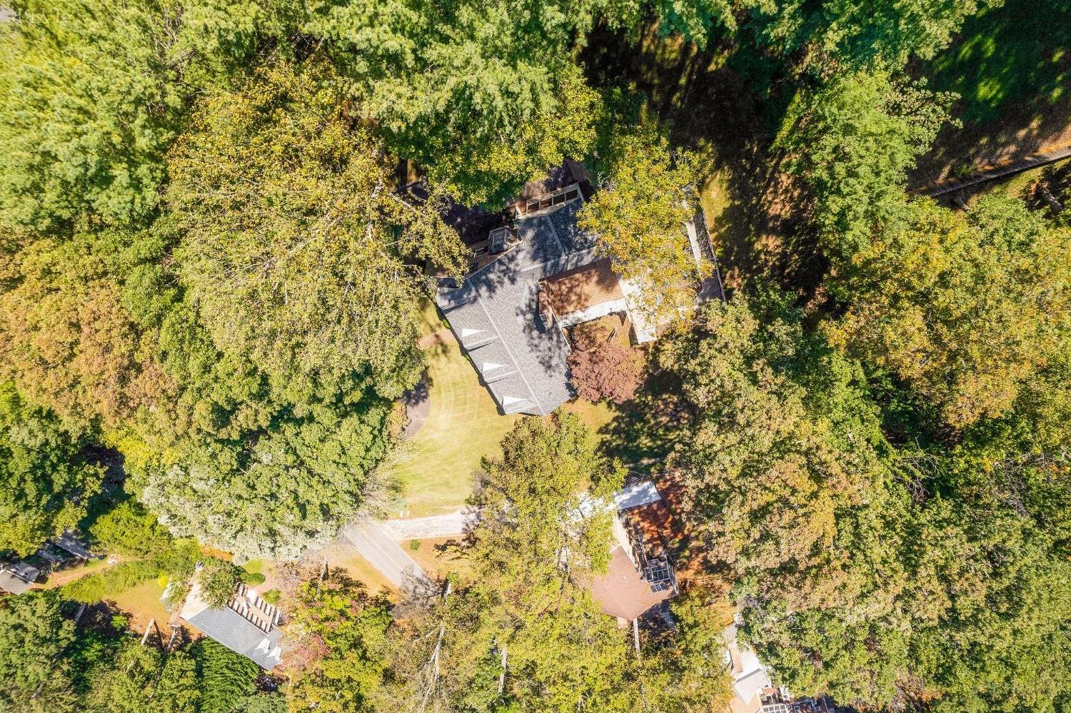 101 Foxhall Drive Forest, VA 24551 - Photo 49 of 54 a view of a tree in a yard
