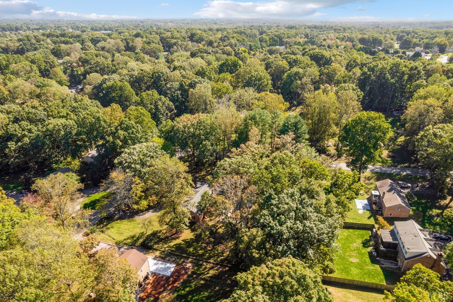 101 Foxhall Drive Forest, VA 24551 - Photo 53 of 54 a view of a city with lush green forest