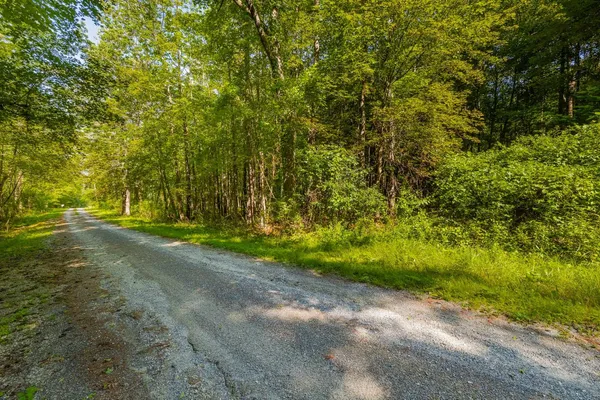 $85,000 | 1-2 Joy Lane, Arlington, VT 05250