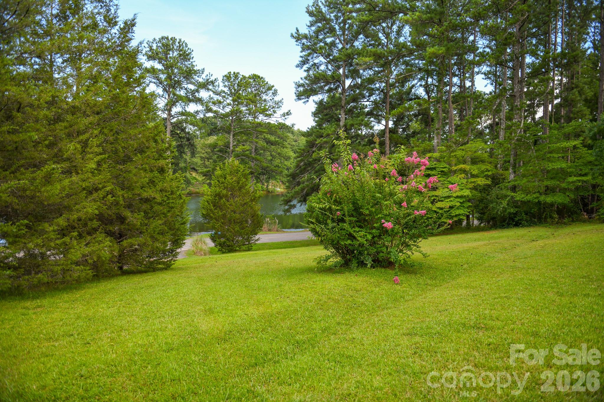 616 Pineview Lakes Road Chester, SC 29706 - Photo 6 of 25 Gallery Image 6