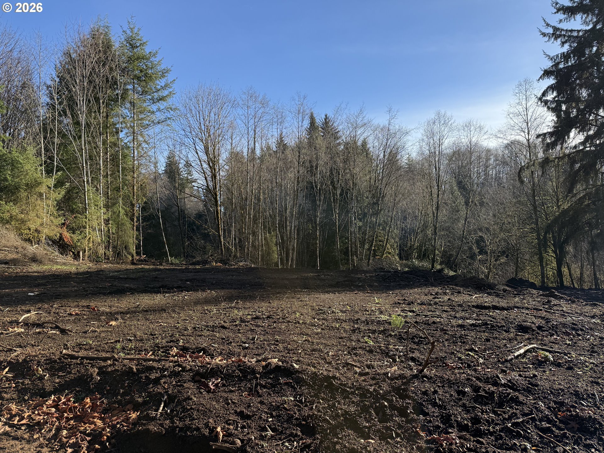 81739 Christmas Tree Road Seaside, OR 97138 - Photo 11 of 29 a view of a yard with trees