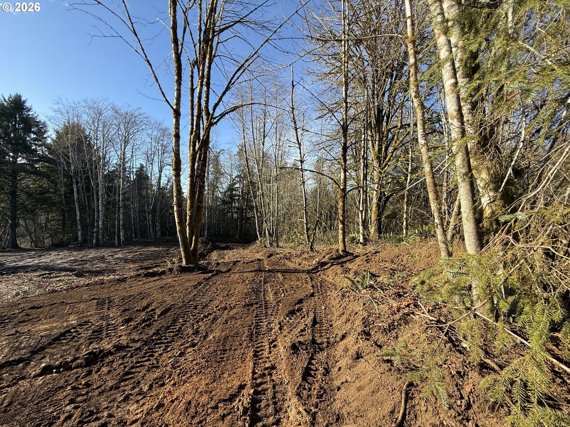 81739 Christmas Tree Road Seaside, OR 97138 - Photo 12 of 29 a view of a yard with a tree