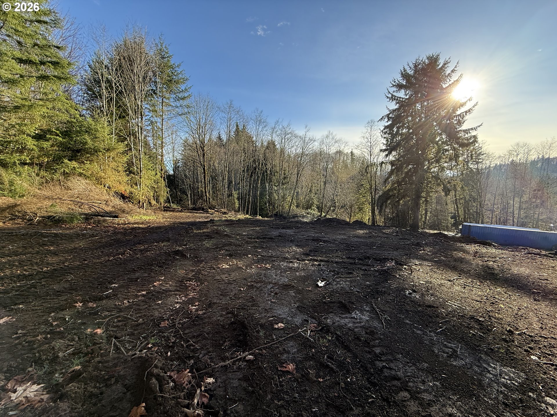 81739 Christmas Tree Road Seaside, OR 97138 - Photo 13 of 29 a view of dirt yard with a large tree
