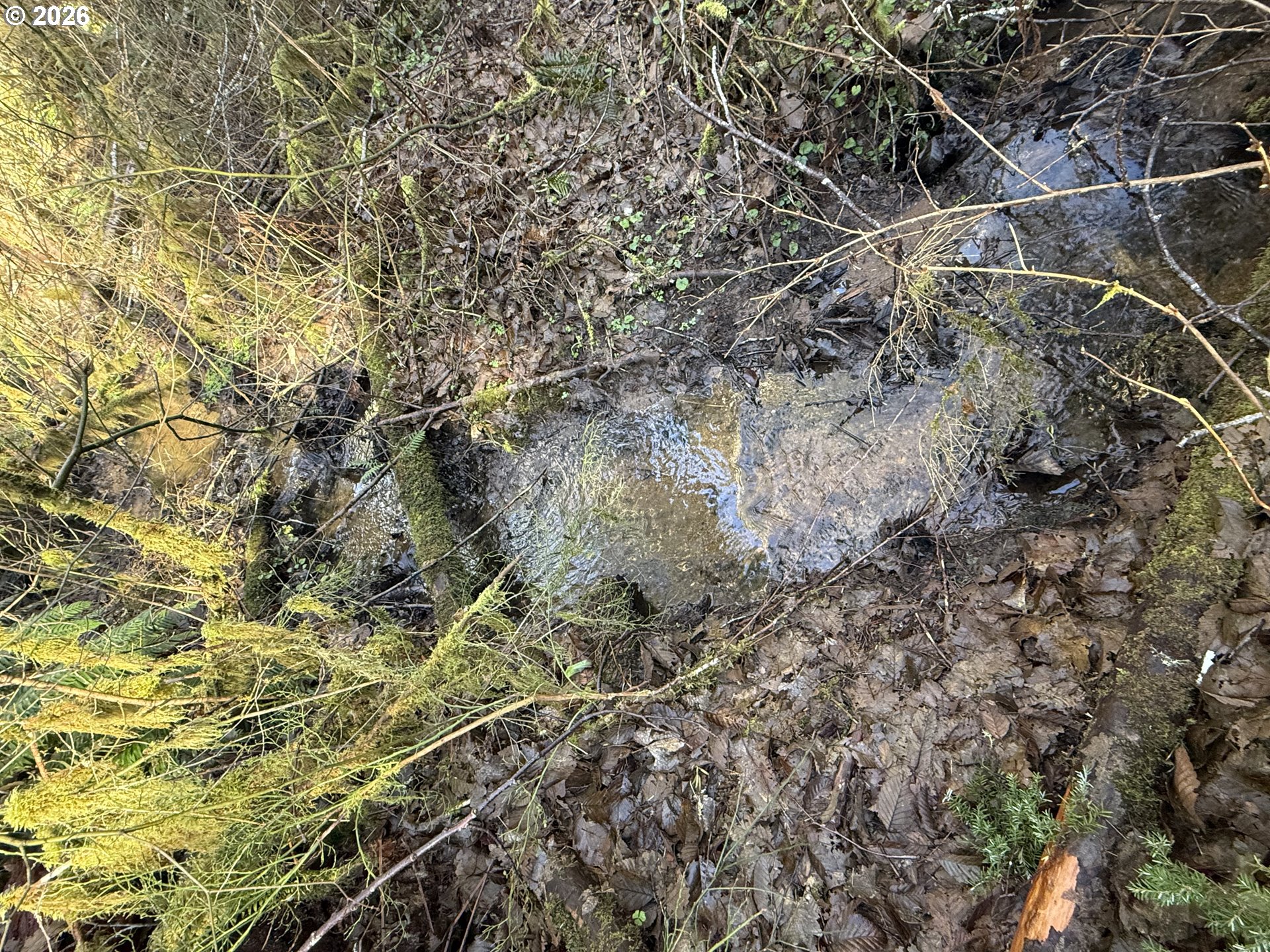 81739 Christmas Tree Road Seaside, OR 97138 - Photo 18 of 29