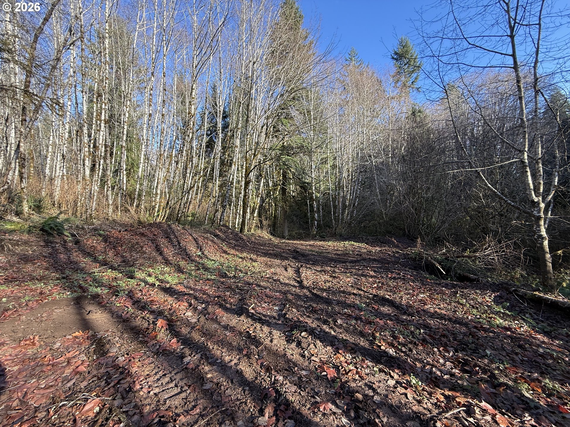 81739 Christmas Tree Road Seaside, OR 97138 - Photo 19 of 29 a view of a yard