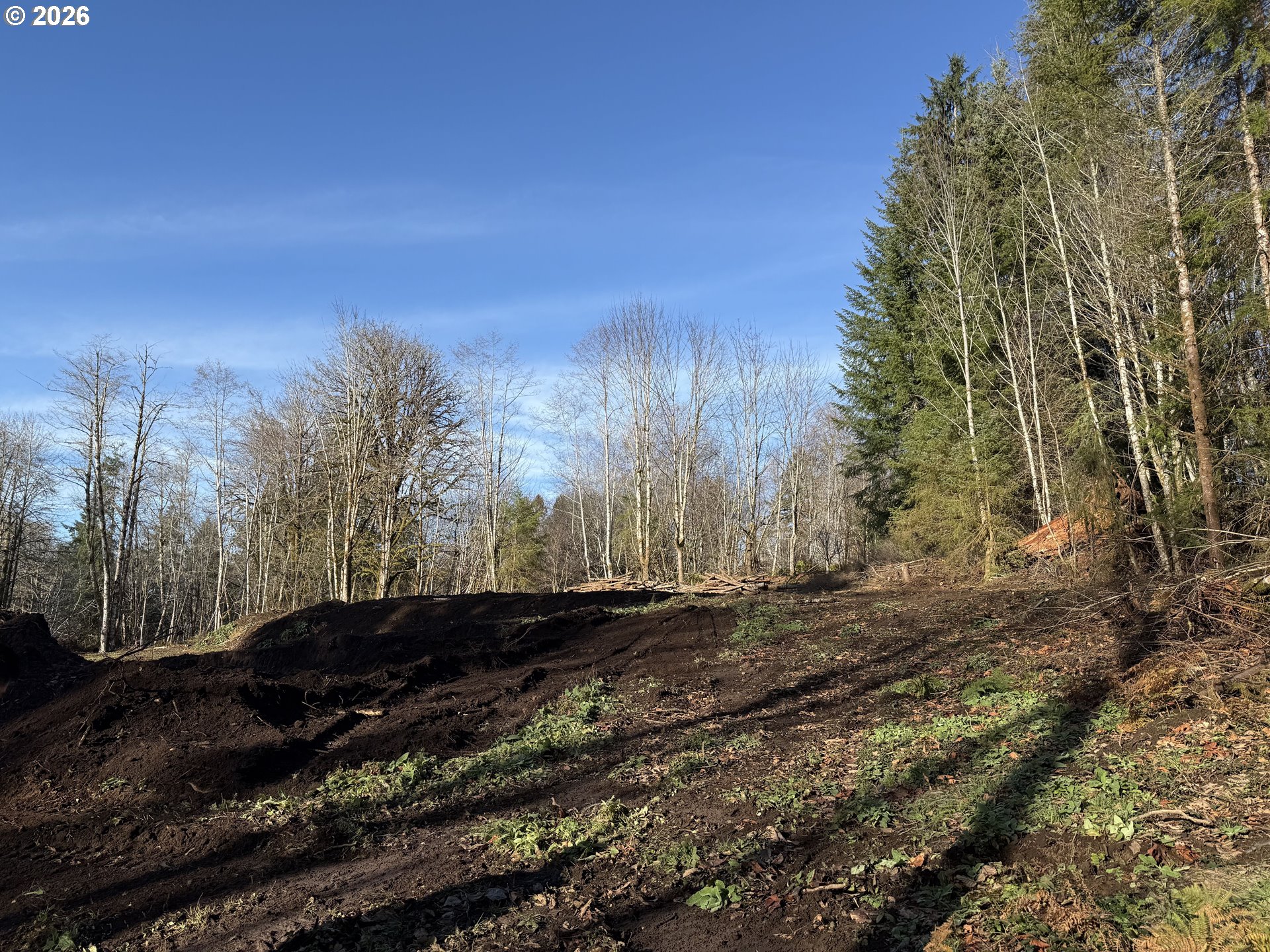 81739 Christmas Tree Road Seaside, OR 97138 - Photo 23 of 29 a view of a yard