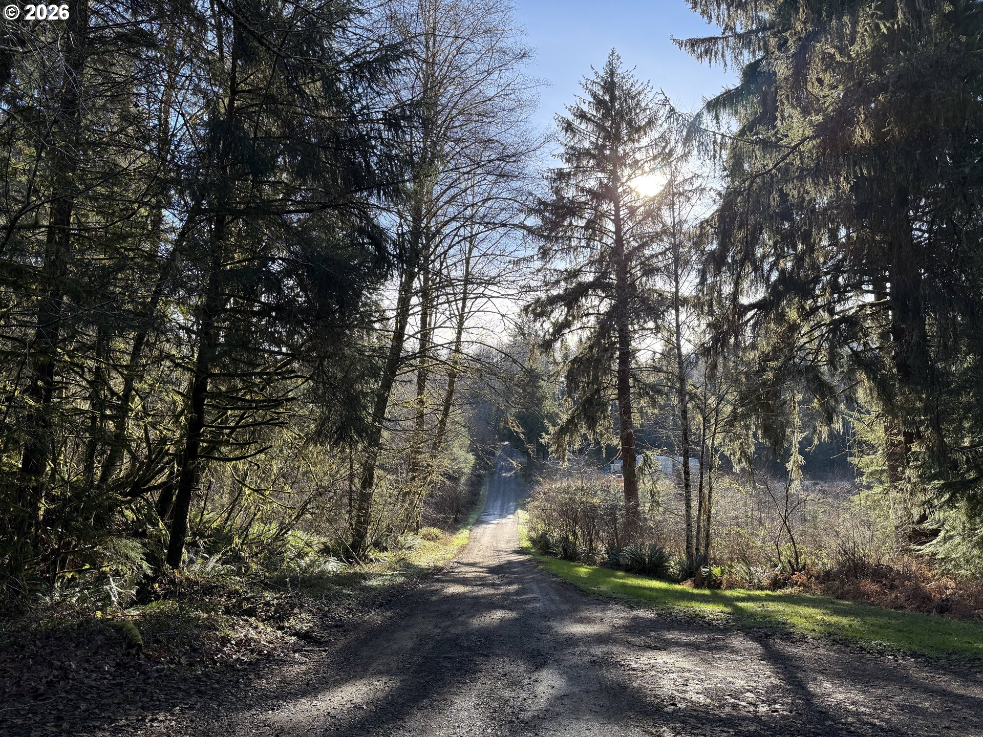 81739 Christmas Tree Road Seaside, OR 97138 - Photo 3 of 29 a view of an outdoor space with yard