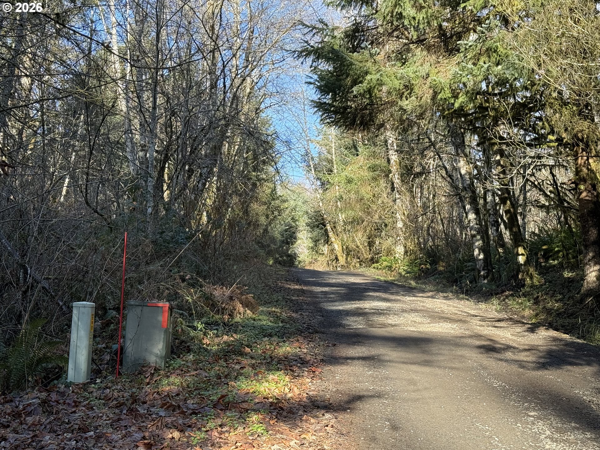 81739 Christmas Tree Road Seaside, OR 97138 - Photo 4 of 29 a view of a yard with plants and trees