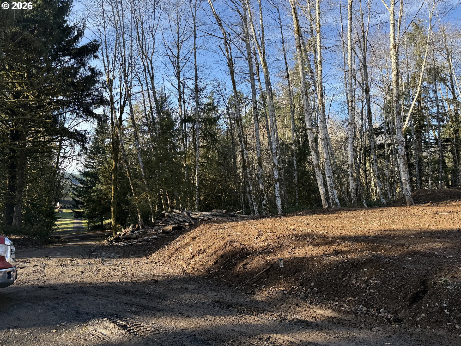 81739 Christmas Tree Road Seaside, OR 97138 - Photo 7 of 29 a view of a tree with a yard