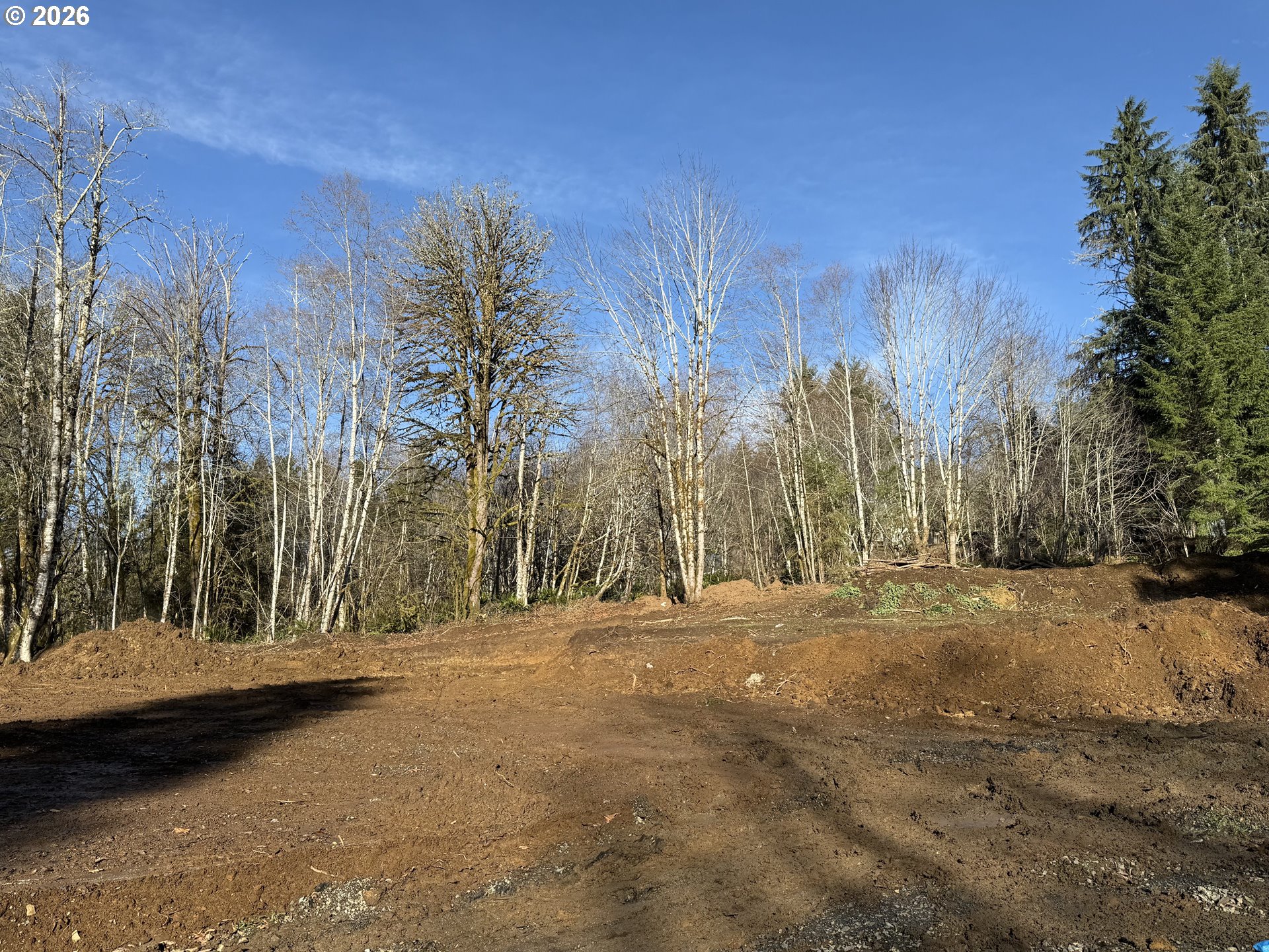 81739 Christmas Tree Road Seaside, OR 97138 - Photo 8 of 29 a view of outdoor space with trees