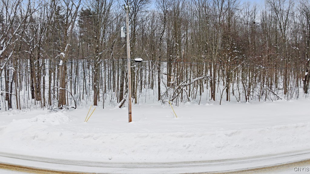 0 Kings Road Fulton, NY 13069 - Photo 16 of 16