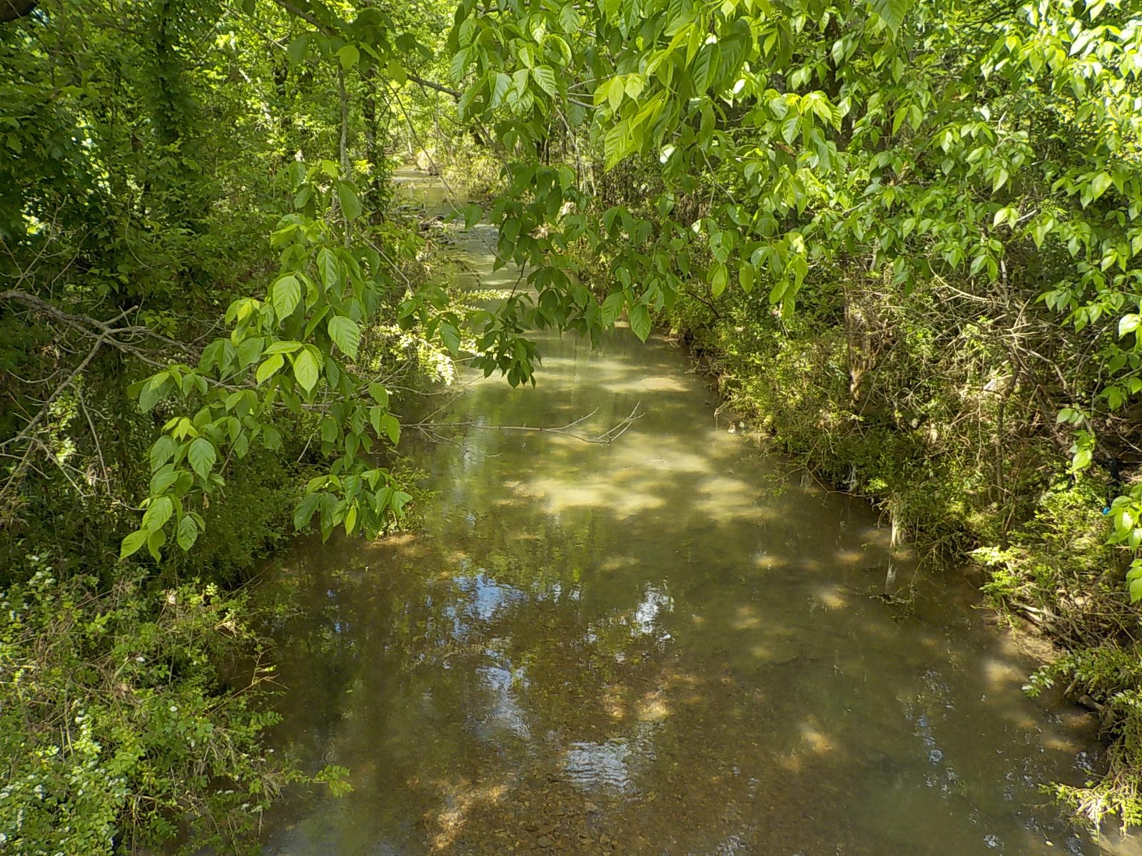 738 Rock Bridge Road Bethpage, TN 37022 - Photo 13 of 23 a view of yard