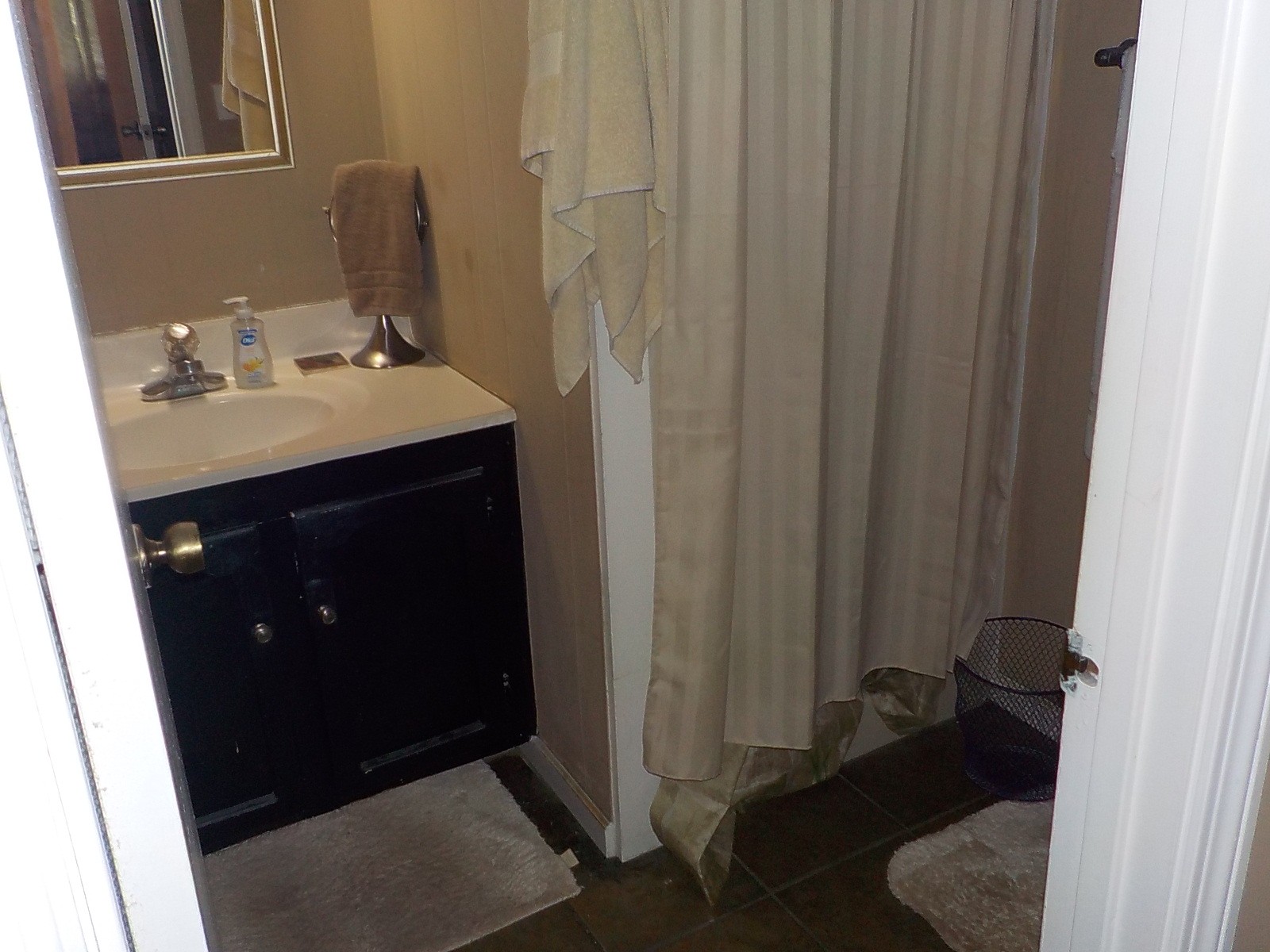738 Rock Bridge Road Bethpage, TN 37022 - Photo 23 of 23 a bathroom with a sink and a mirror