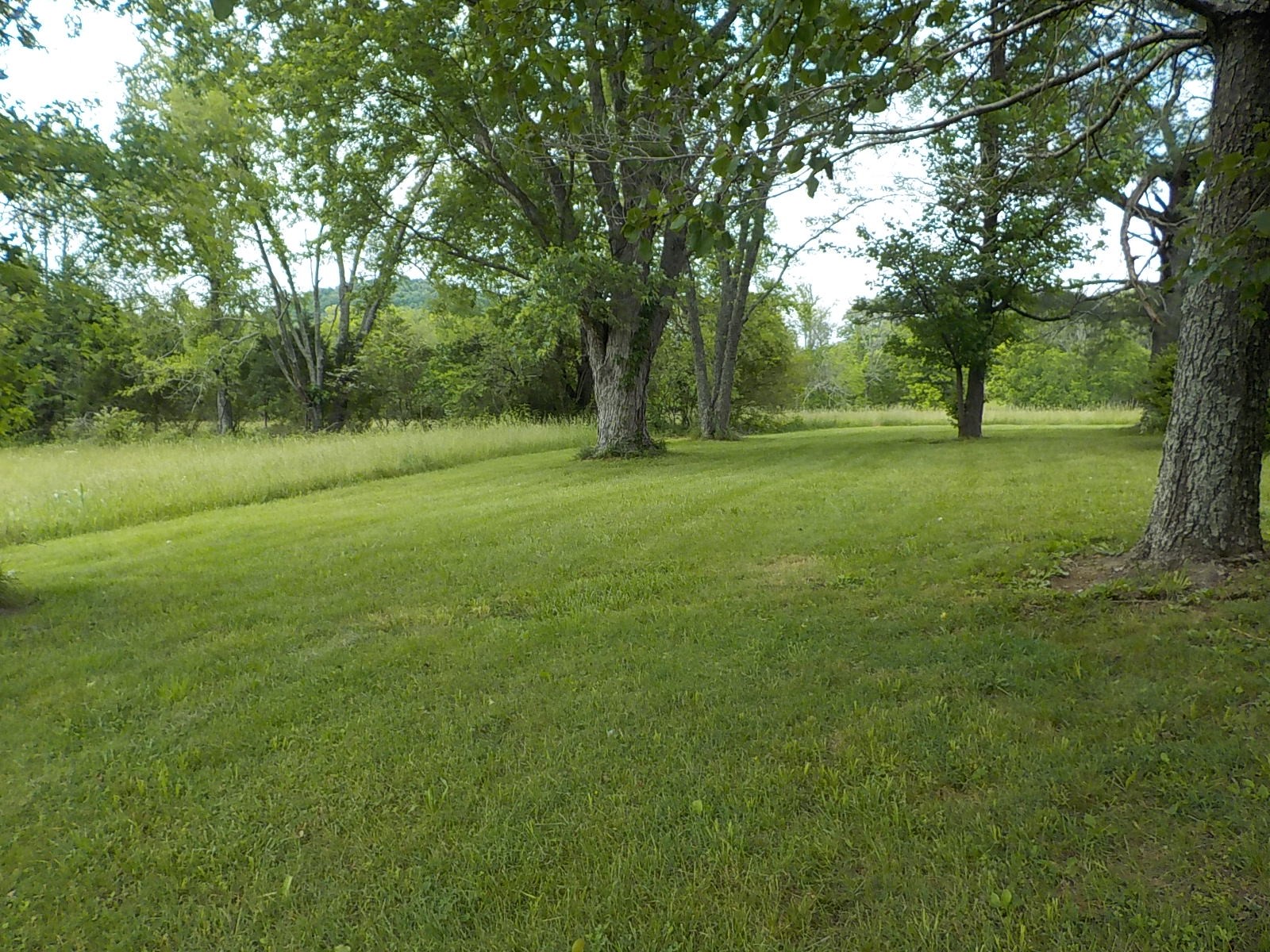 738 Rock Bridge Road Bethpage, TN 37022 - Photo 9 of 23 a view of outdoor space with green field and trees all around
