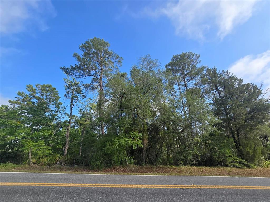 10185 Noddy Tern Road Weeki Wachee, FL 34613 - Photo 3 of 5