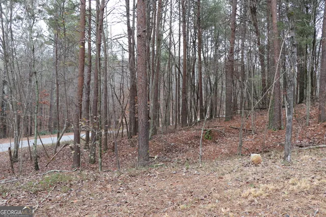 $175,000 | 1217 Henderson Circle, Lyerly, GA 30730