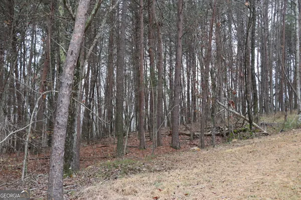 $155,000 | 1217 Henderson Circle, Lyerly, GA 30730