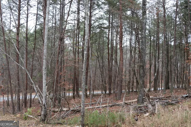 $175,000 | 1217 Henderson Circle, Lyerly, GA 30730